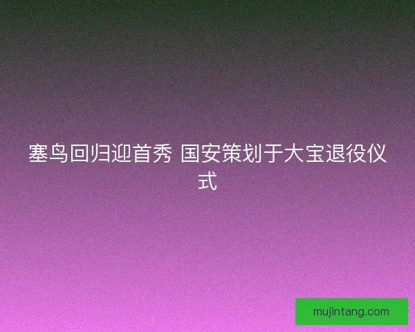 塞鸟回归迎首秀 国安策划于大宝退役仪式