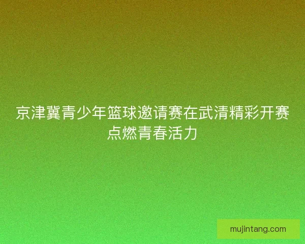 京津冀青少年篮球邀请赛在武清精彩开赛点燃青春活力