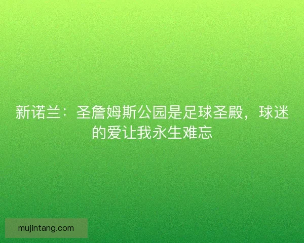新诺兰：圣詹姆斯公园是足球圣殿，球迷的爱让我永生难忘
