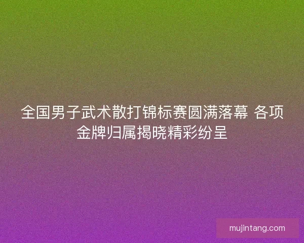 全国男子武术散打锦标赛圆满落幕 各项金牌归属揭晓精彩纷呈