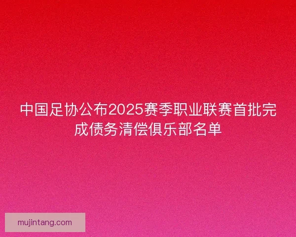 中国足协公布2025赛季职业联赛首批完成债务清偿俱乐部名单